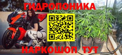 ПСИЛОЦИБИНОВЫЕ ГРИБЫ Ипатово
