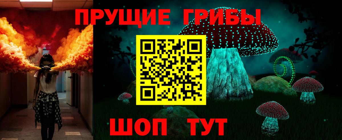 Псилоцибиновые грибы Psilocybe Малоярославец