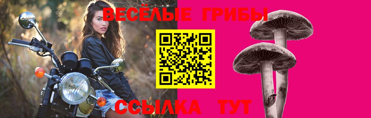 Галлюциногенные грибы ЛСД  Вход с VPN  даркнет сайт  Малоярославец 